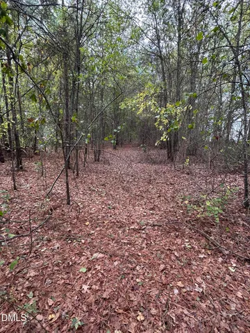 a close up of a shower curtain