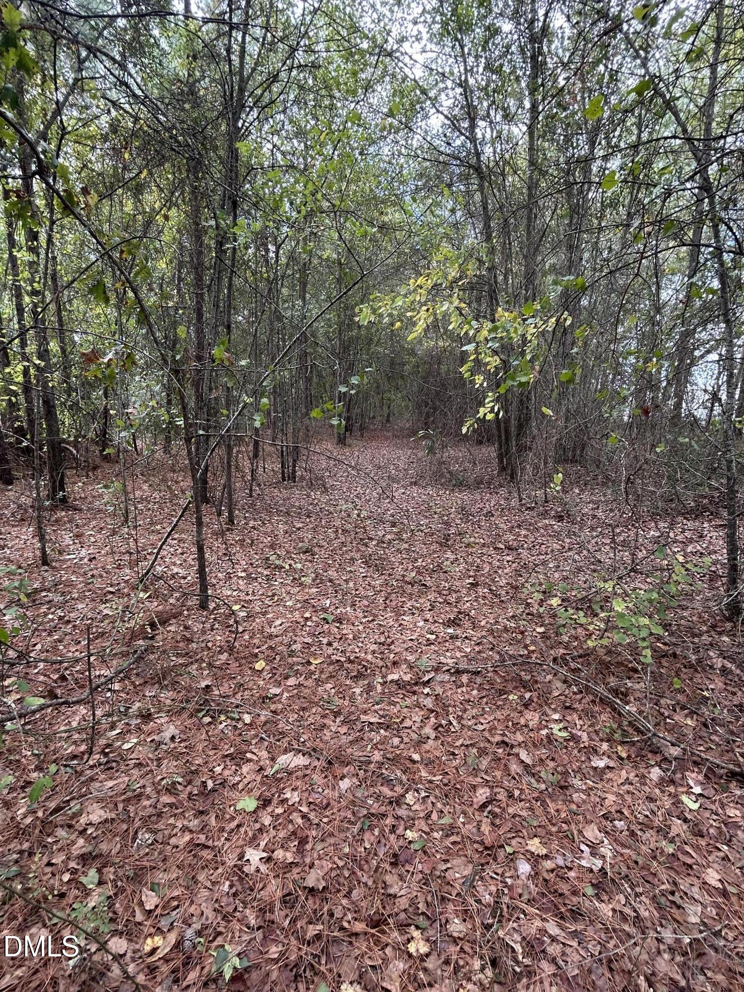 3.6 South Parker Church Road Raeford, NC 28376 - Photo 4 of 23 a view of a forest filled with trees