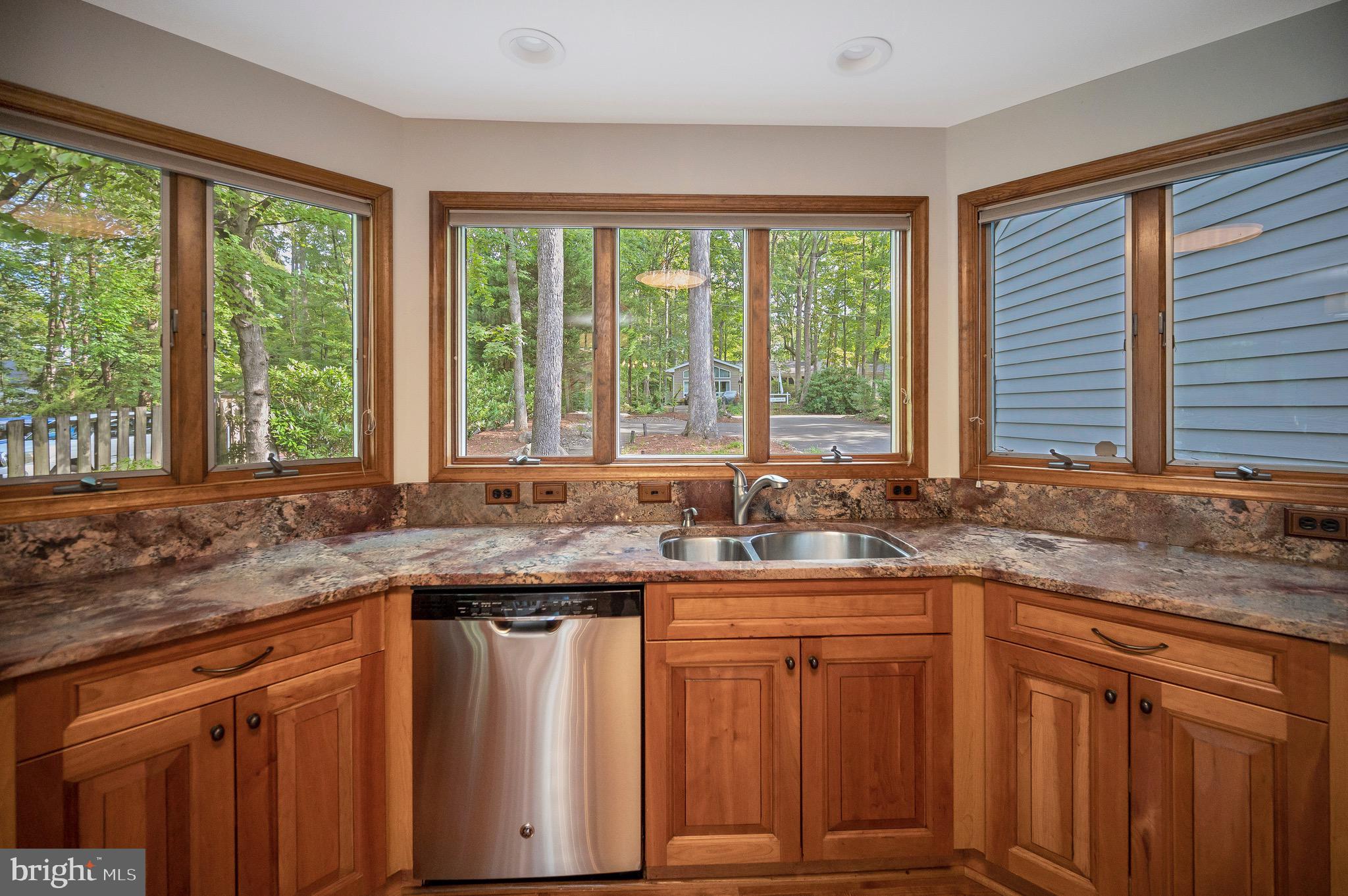 205 Skyline Road Locust Grove, VA 22508 - Photo 16 of 66 Look at all that natural light