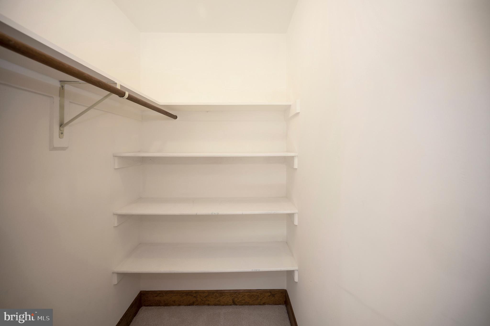 205 Skyline Road Locust Grove, VA 22508 - Photo 30 of 66 Walk in closet
