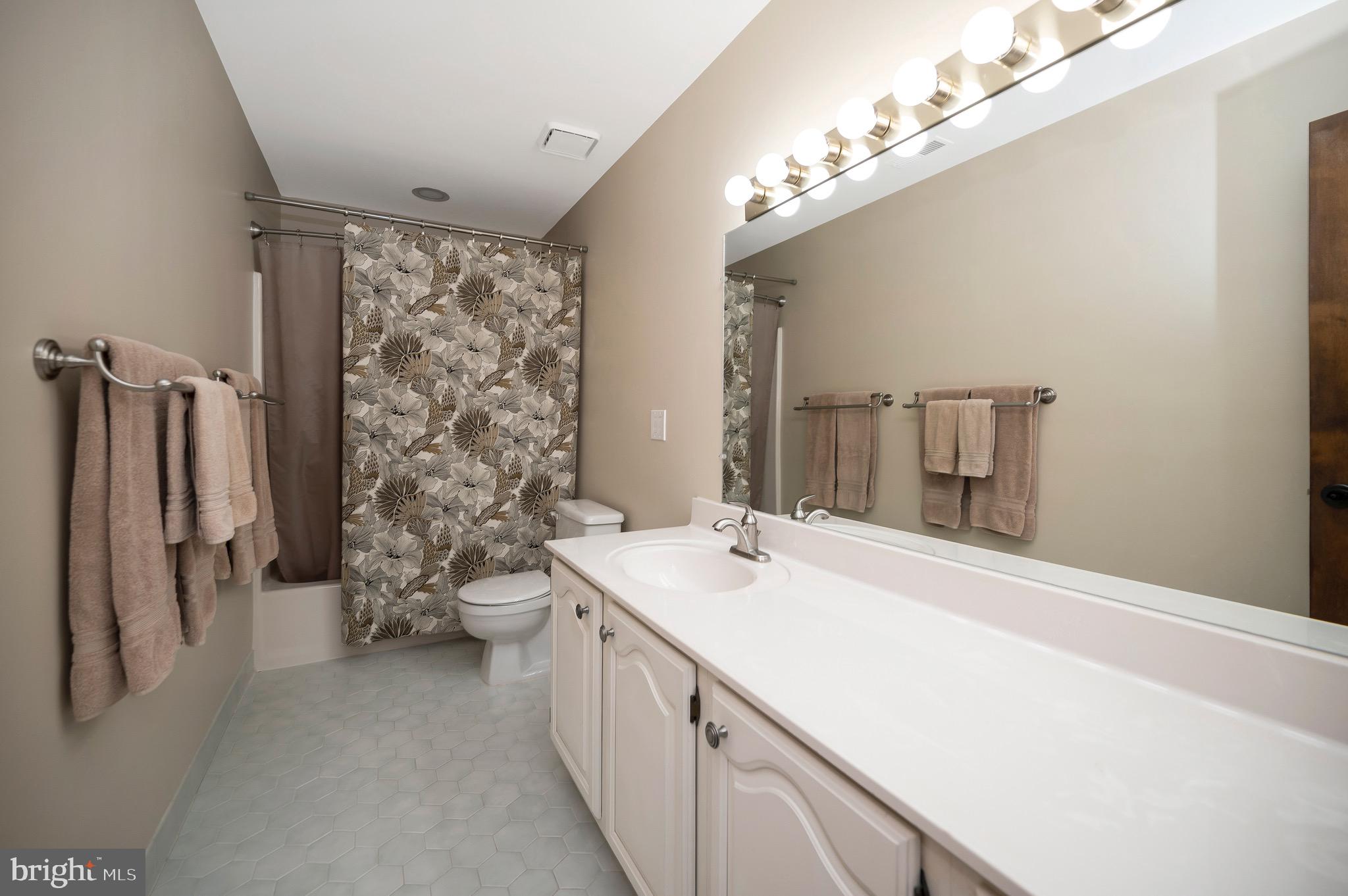 205 Skyline Road Locust Grove, VA 22508 - Photo 34 of 66 Roomy guest bathroom