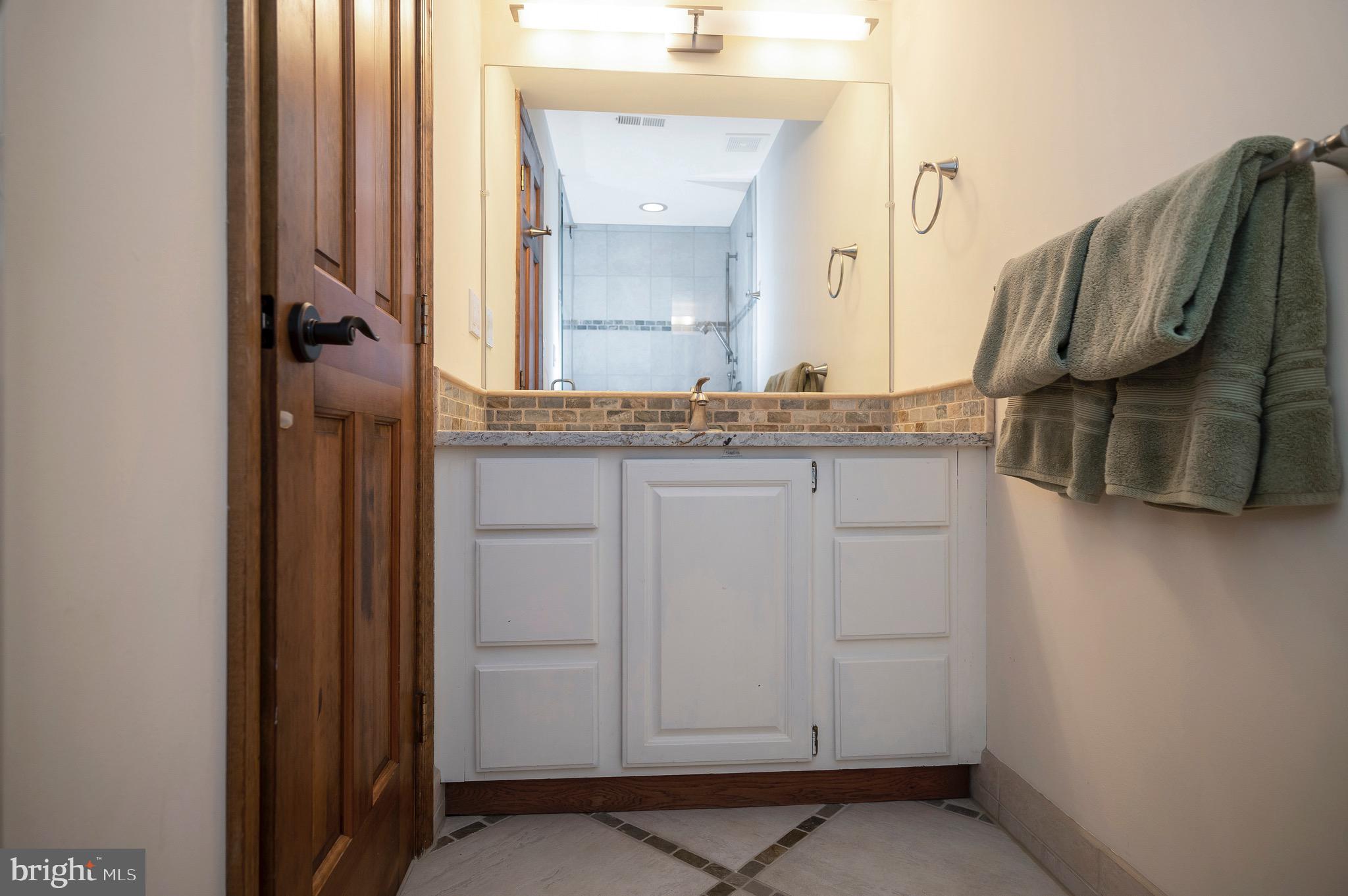 205 Skyline Road Locust Grove, VA 22508 - Photo 41 of 66 Amazing lower level full bathroom
