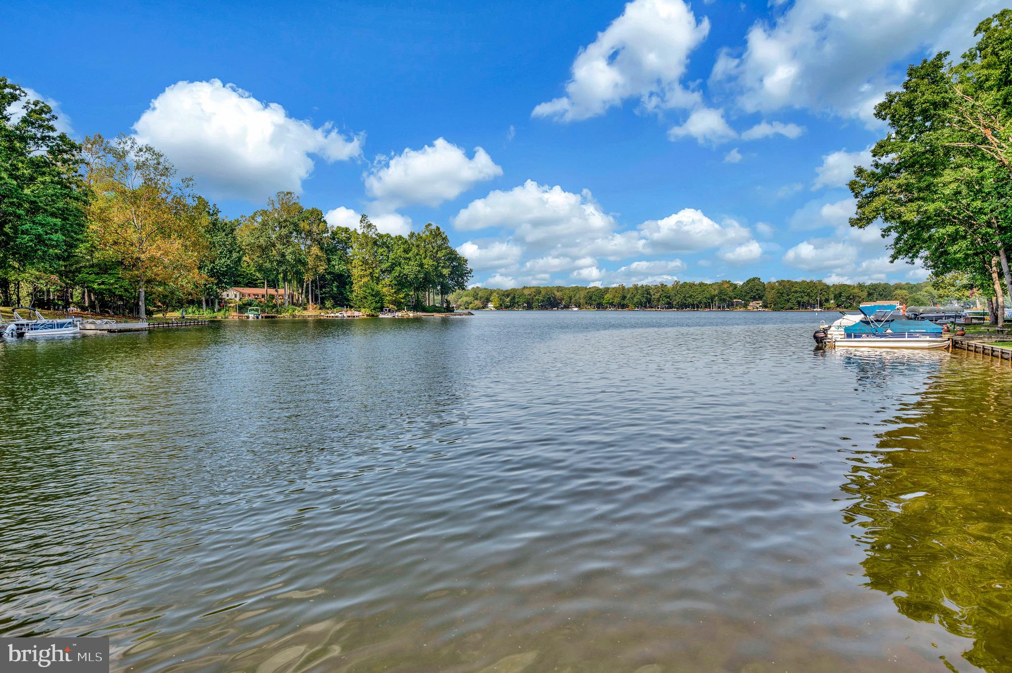 205 Skyline Road Locust Grove, VA 22508 - Photo 43 of 66 Stunning lake views