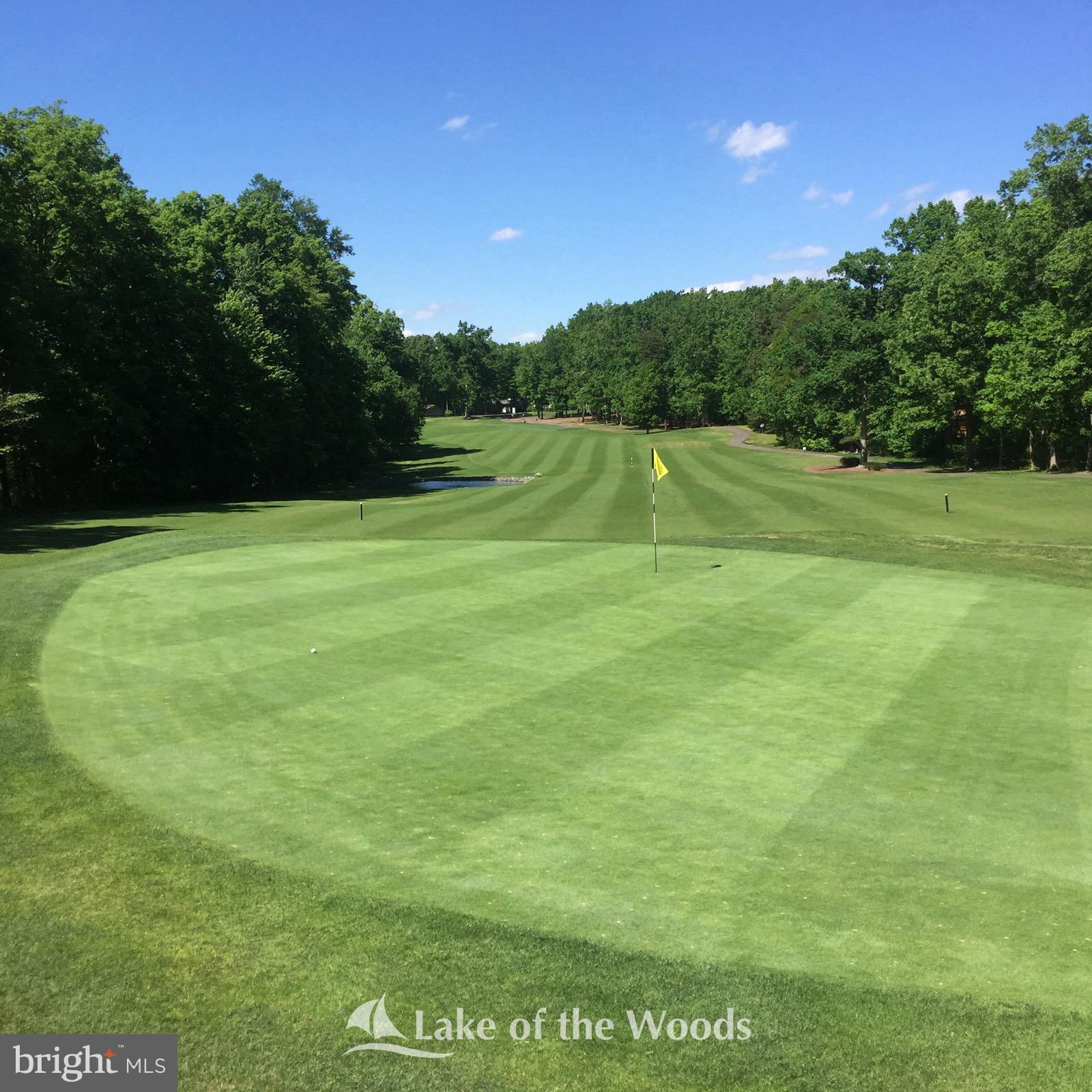 205 Skyline Road Locust Grove, VA 22508 - Photo 58 of 66 Well kept golf course