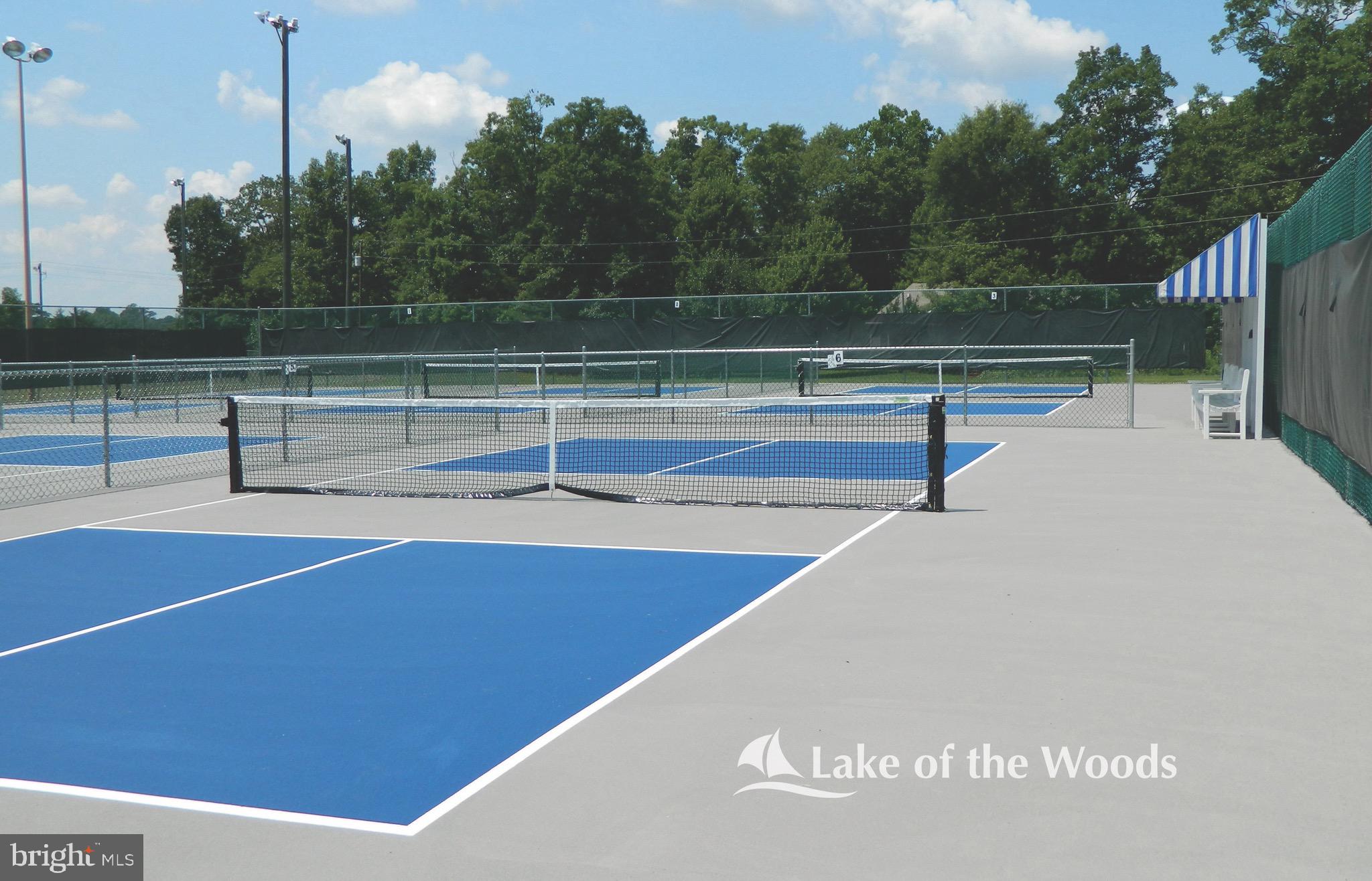 205 Skyline Road Locust Grove, VA 22508 - Photo 61 of 66 Tennis and pickle ball courts