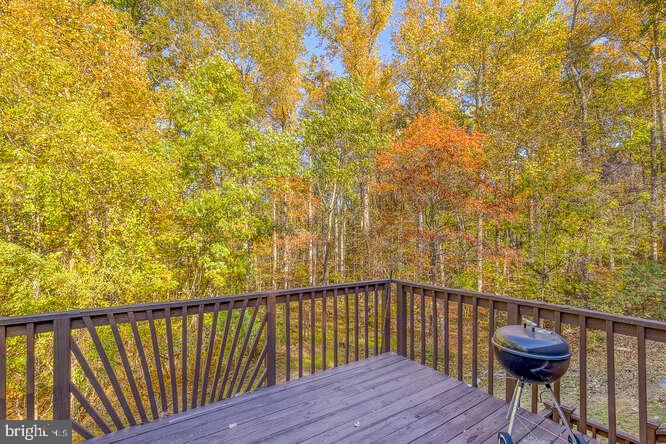1643 Blue Mountain Road Front Royal, VA 22630 - Photo 33 of 39 Gallery Image 33