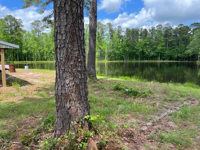 608 Middle Willow Road Neeses, SC 29107 - Photo 29 of 33 Photo 29