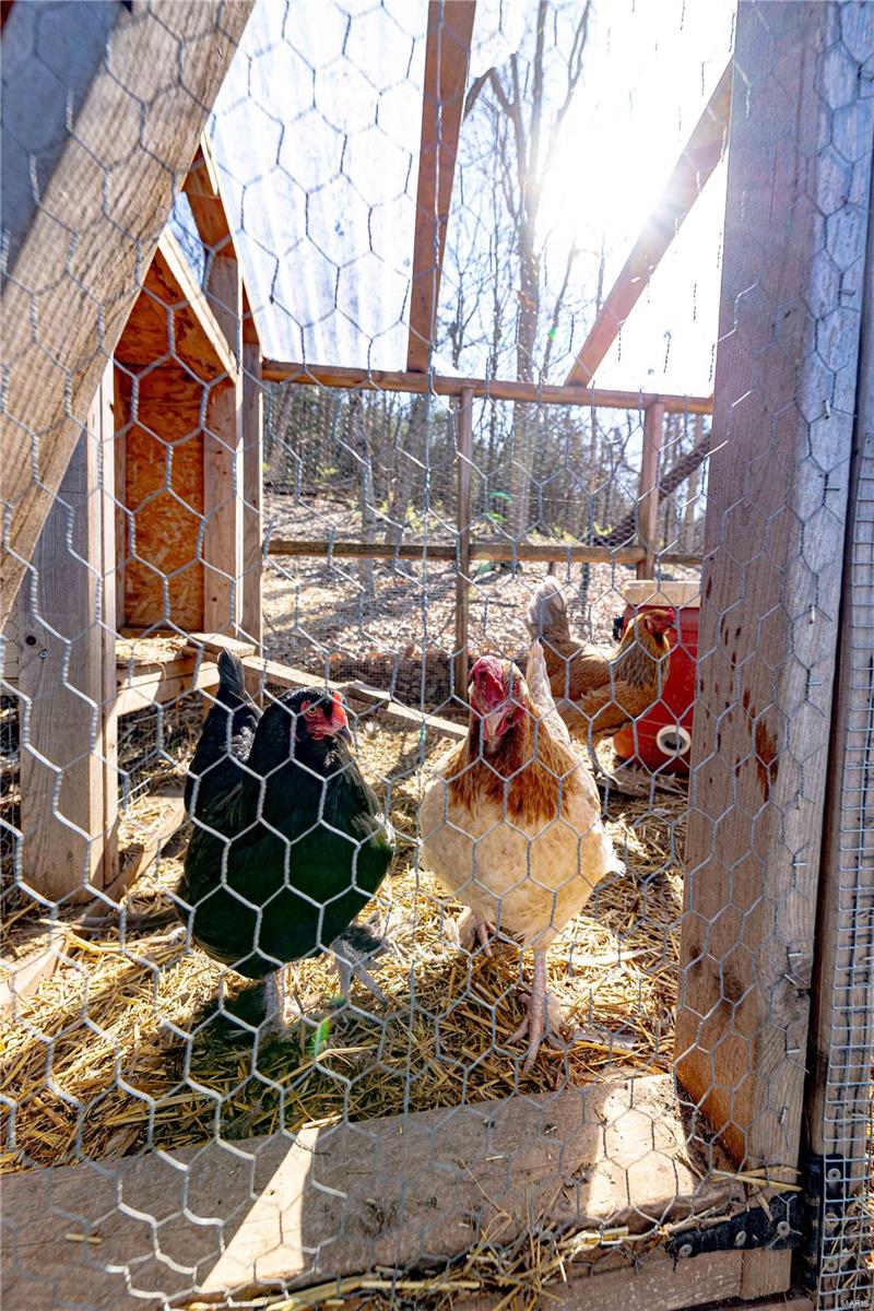 7352 Hidden Bluffs Drive Barnhart, MO 63012 - Photo 46 of 55