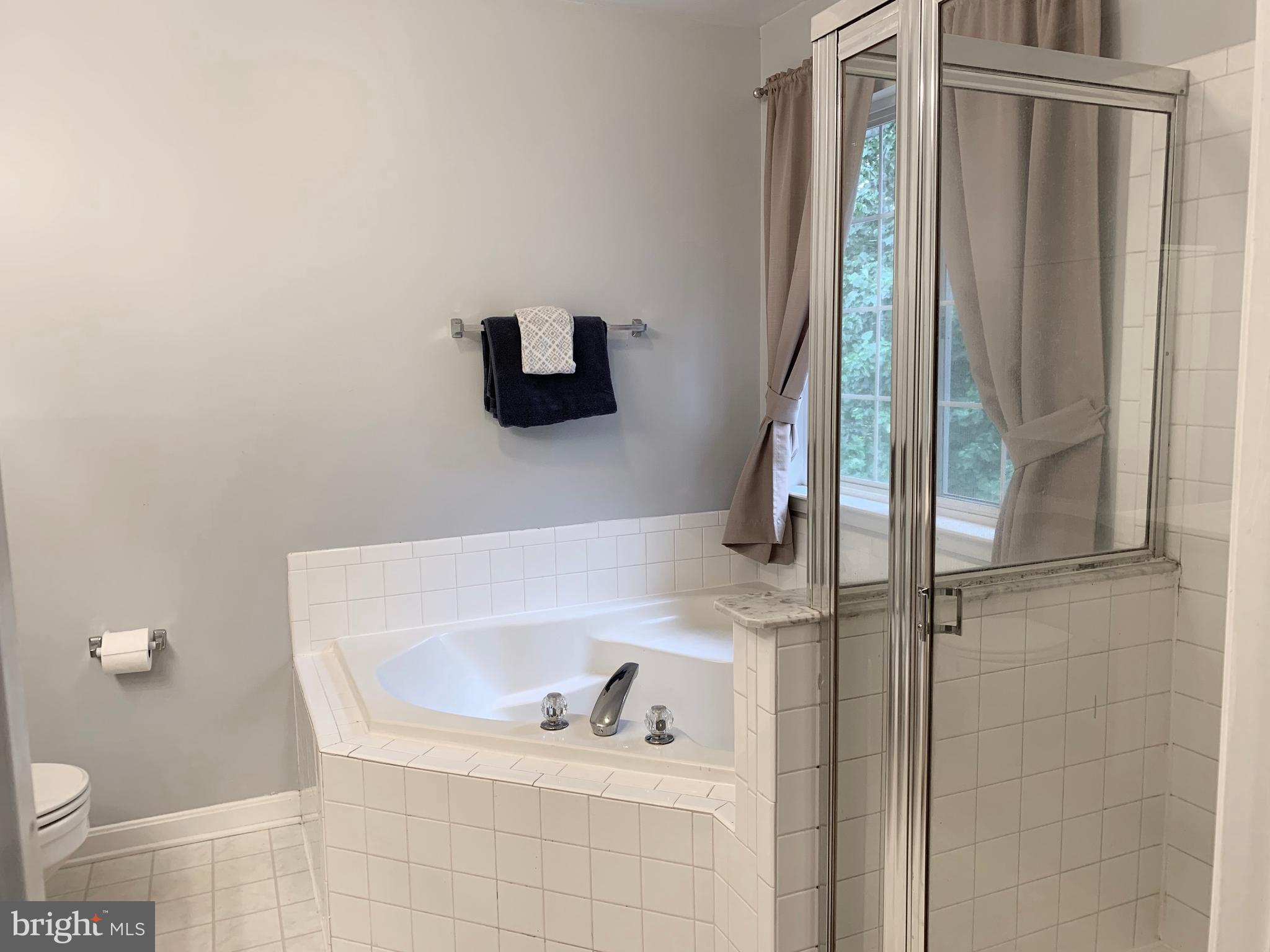 740 Shallow Ridge Court Abingdon, MD 21009 - Photo 22 of 55 Separate shower is nice!