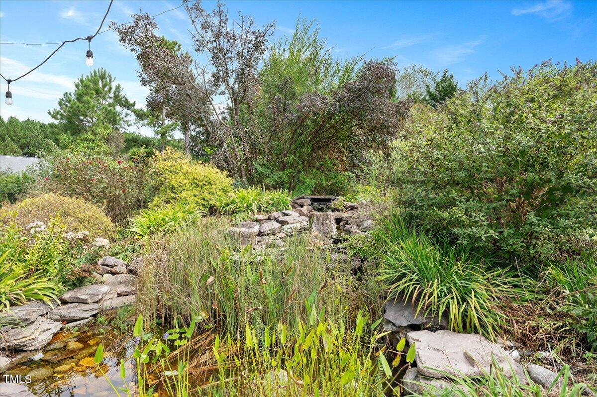 7805 Tuscan Ridge Drive Wendell, NC 27591 - Photo 29 of 40 a view of a yard with plants and large trees