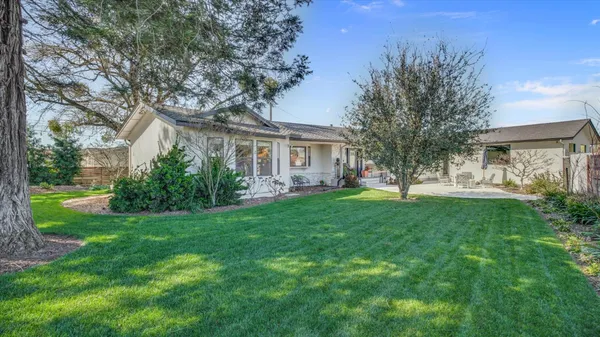 a view of a backyard with potted plants and large tree