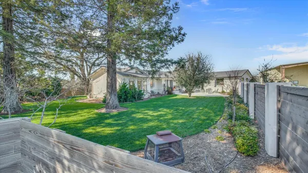 a view of a patio with table and chairs potted plants and palm trees