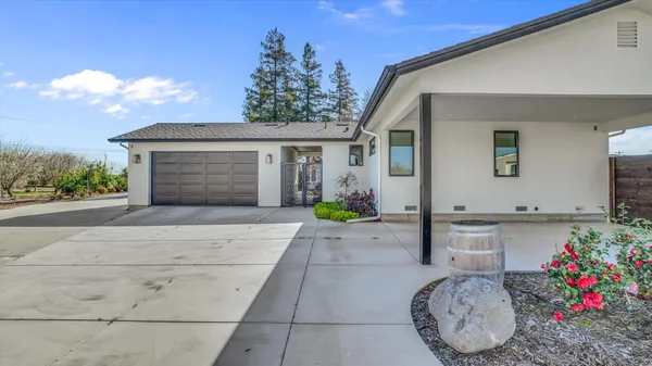 a view of a flower in a yard