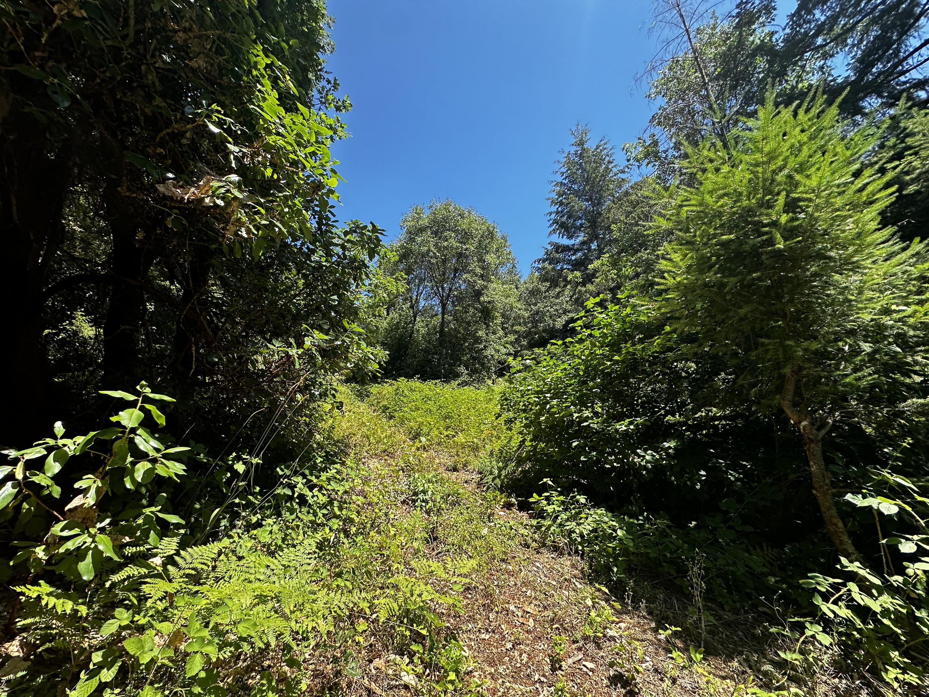 0 French Camp Road Hoopa, CA 95546 - Photo 5 of 8