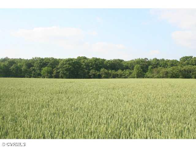 6672 Cedar Fork Road Ruther Glen, VA 22546 - Photo 1 of 12