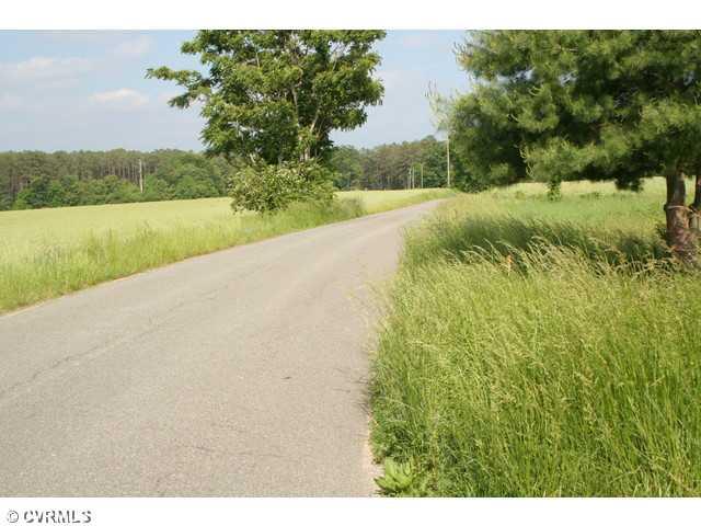 6672 Cedar Fork Road Ruther Glen, VA 22546 - Photo 3 of 12