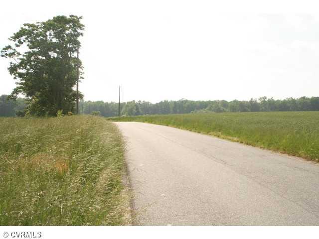 6672 Cedar Fork Road Ruther Glen, VA 22546 - Photo 4 of 12