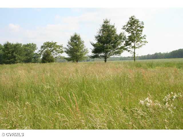 6672 Cedar Fork Road Ruther Glen, VA 22546 - Photo 5 of 12