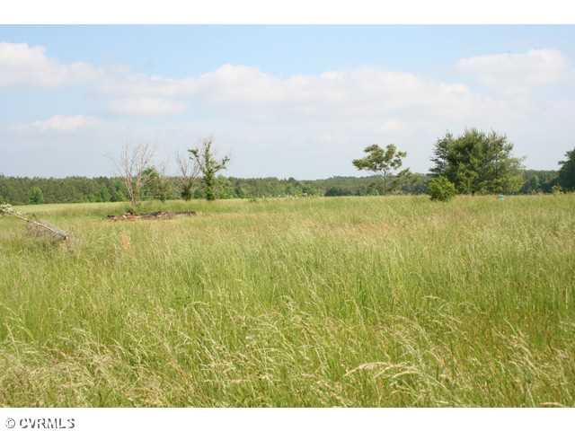 6672 Cedar Fork Road Ruther Glen, VA 22546 - Photo 6 of 12