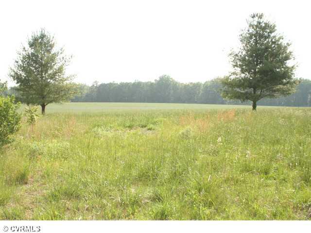 6672 Cedar Fork Road Ruther Glen, VA 22546 - Photo 7 of 12