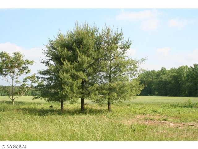6672 Cedar Fork Road Ruther Glen, VA 22546 - Photo 9 of 12