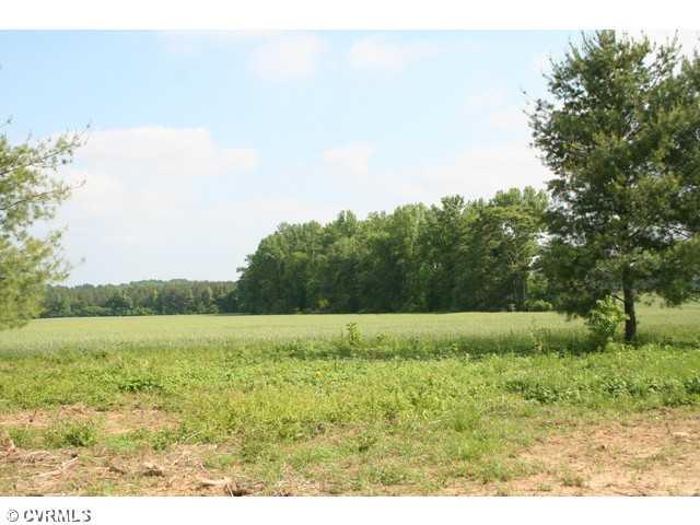 6672 Cedar Fork Road Ruther Glen, VA 22546 - Photo 10 of 12