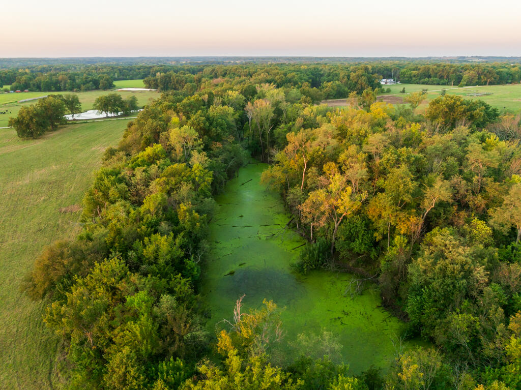 2395 Southwest County Road Hume, MO 64752 - Photo 11 of 81 Bates 50 (MLS)--12