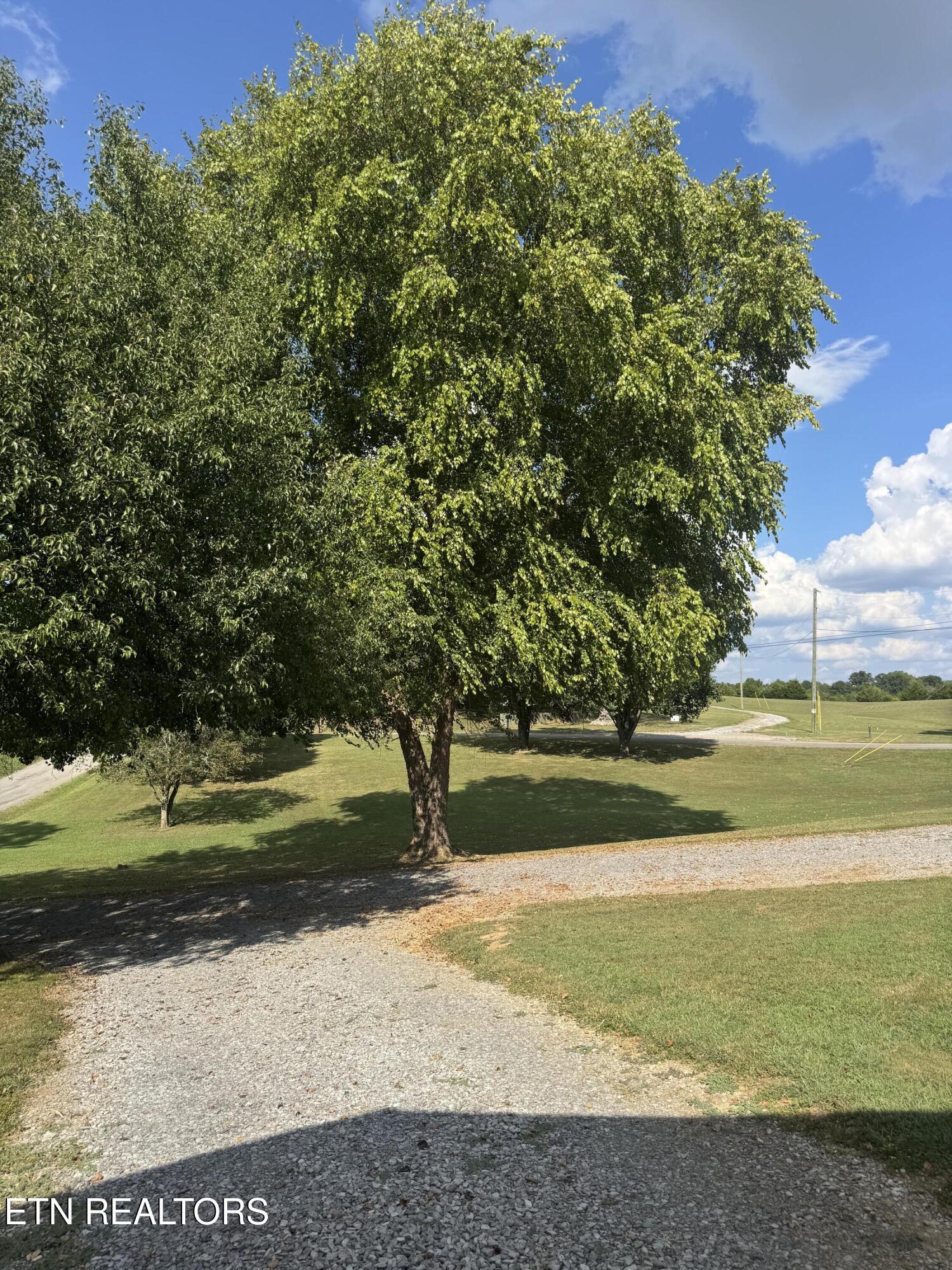 230 Ingram Road Madisonville, TN 37354 - Photo 3 of 18 Front yard