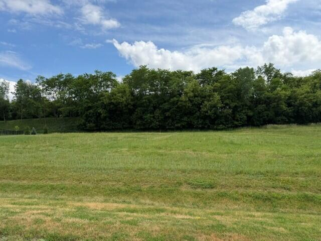 Lt10 Lt10 Rookery Road Delafield, WI 53072 - Photo 2 of 11 Lot 10