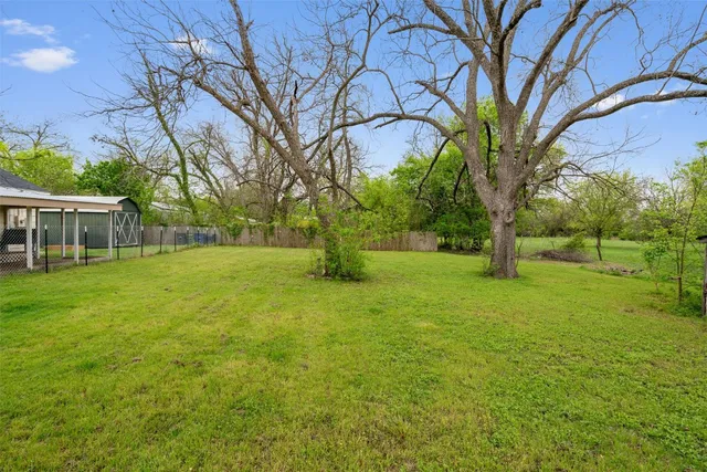 a view of a yard with a tree