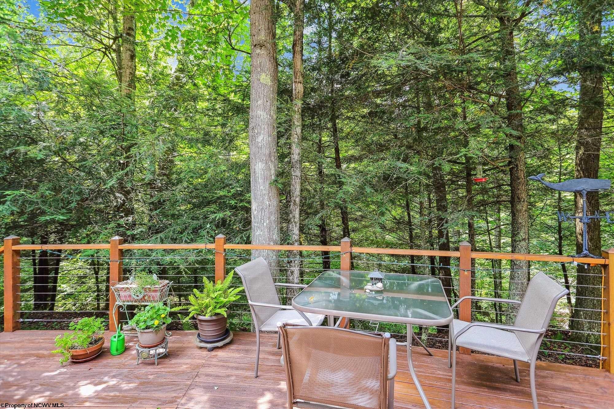 22 Collins Run Dryfork, WV 26263 - Photo 36 of 37 Gallery Image 36
