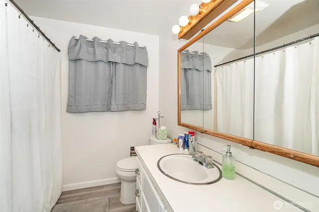 a bathroom with a sink a toilet and shower curtain