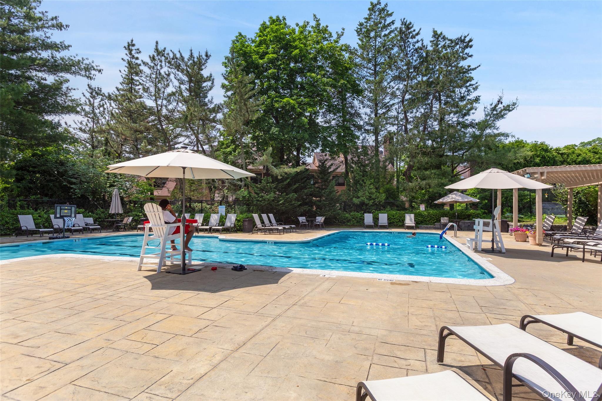 245 Tree Top Crescent Rye Brook, NY 10573 - Photo 14 of 24 a view of outdoor space yard deck patio and outdoor kitchen