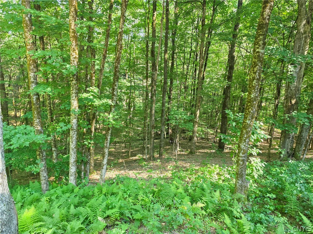 10798 Rowell Road Camden, NY 13483 - Photo 29 of 33 Gallery Image 29