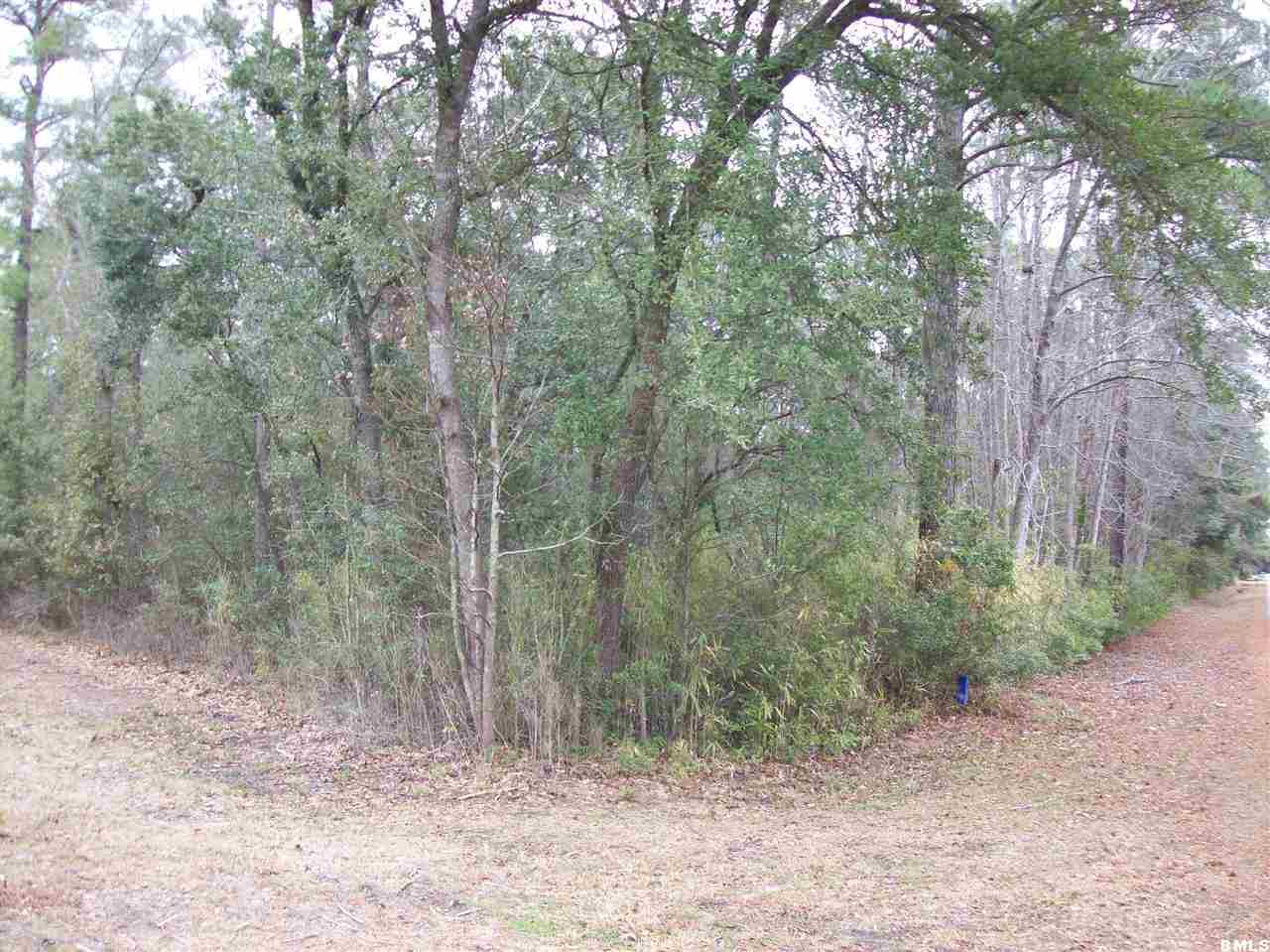 3 Hewlett Road Beaufort, SC 29907 - Photo 11 of 15 Additional Photo