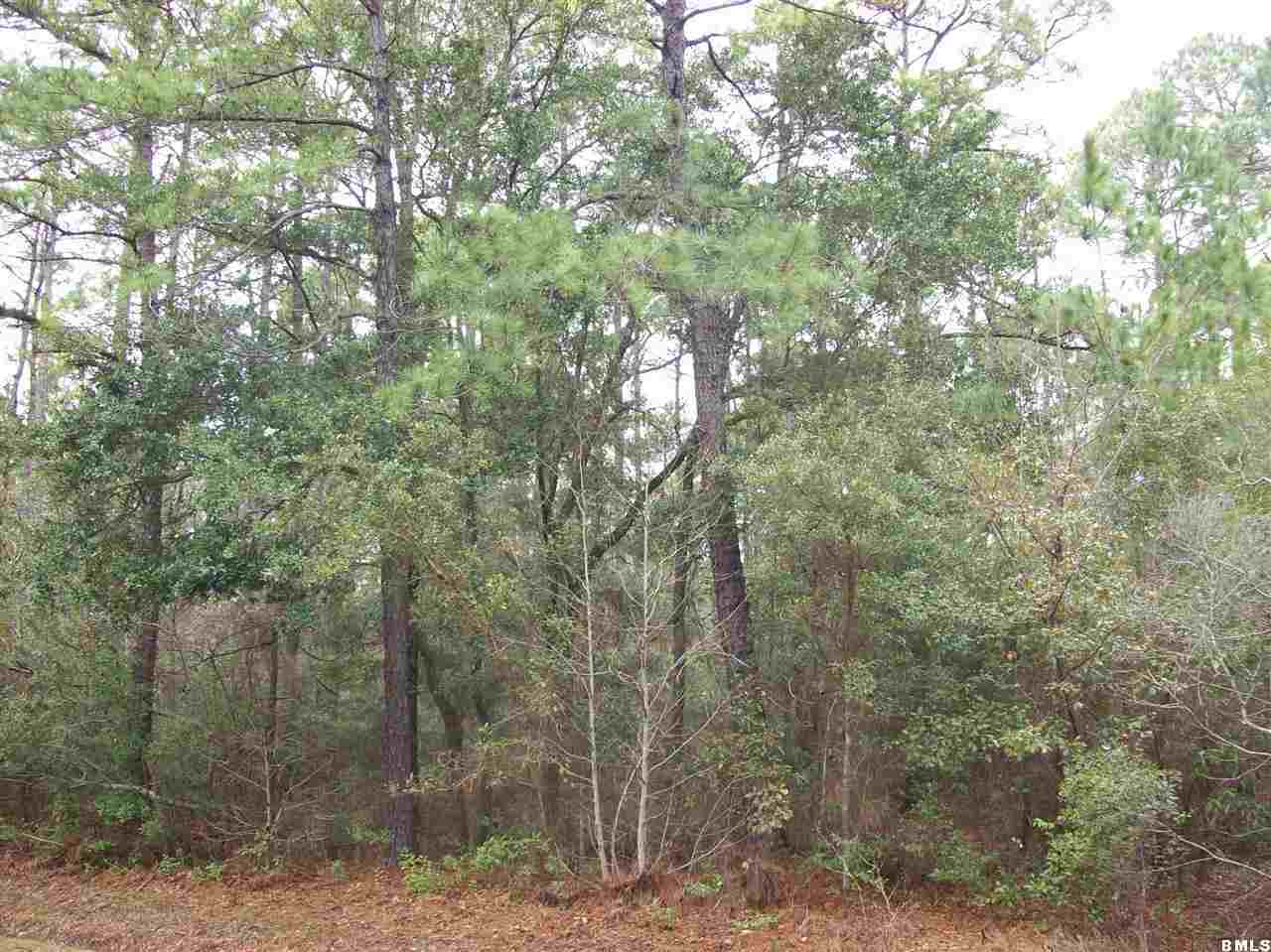 3 Hewlett Road Beaufort, SC 29907 - Photo 8 of 15 Additional Photo