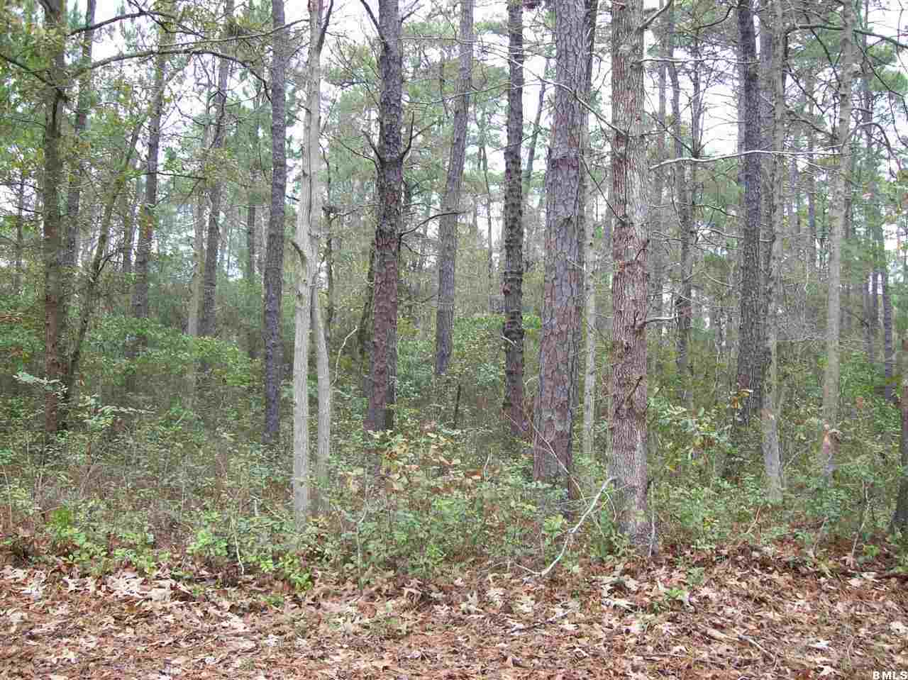 3 Hewlett Road Beaufort, SC 29907 - Photo 9 of 15 Additional Photo