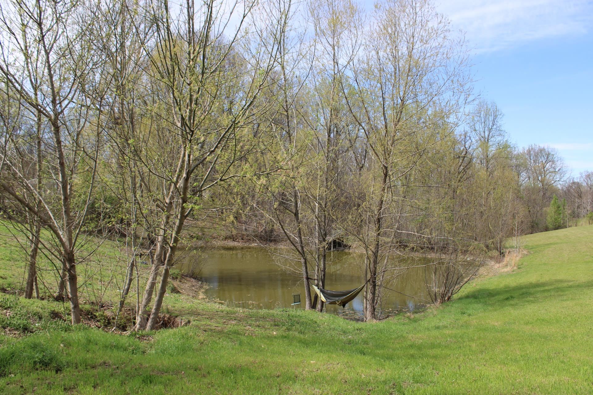 1648 Dry Hill Road West Ripley, TN 38063 - Photo 4 of 34 Gallery Image 4