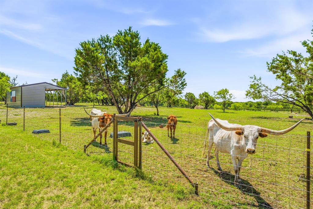 1271 Private 2120 Road Meridian, TX 76665 - Photo 29 of 40