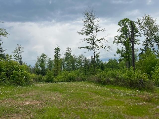 N9599 West Goose Island Road Pearson, WI 54462 - Photo 19 of 26 Gallery Image 19