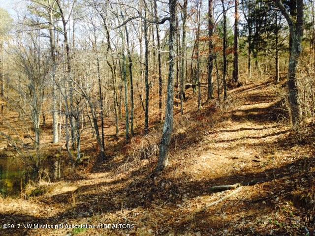0 Co Road Dumas, MS 38625 - Photo 2 of 6 FullSizeRender (2)