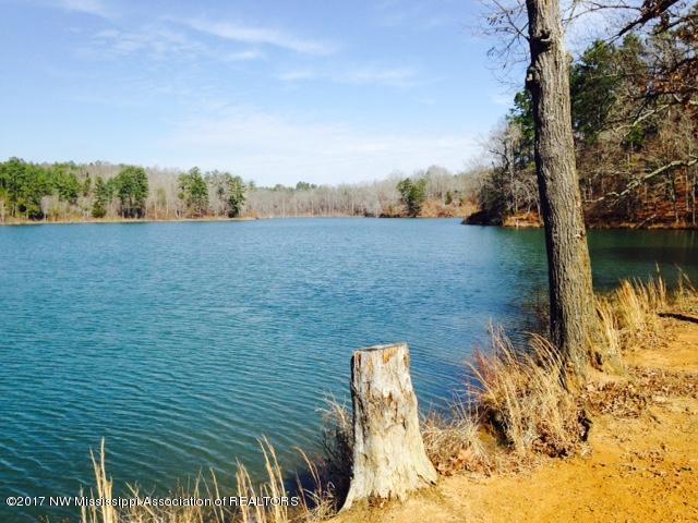 0 Co Road Dumas, MS 38625 - Photo 4 of 6 FullSizeRender (4)