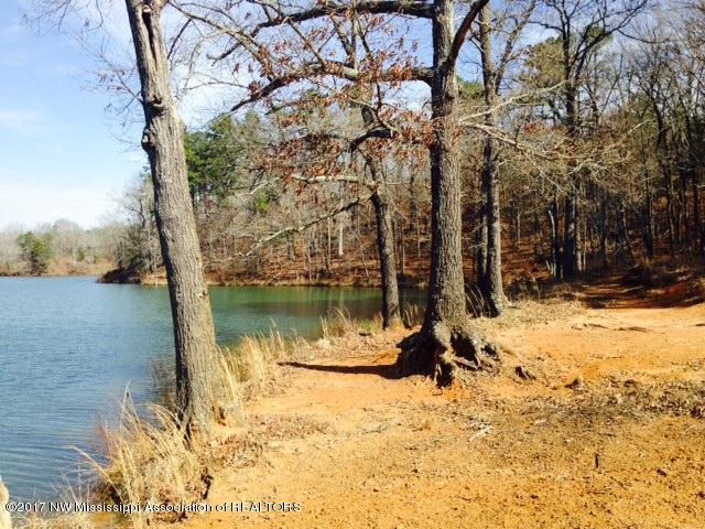0 Co Road Dumas, MS 38625 - Photo 5 of 6 FullSizeRender (5)