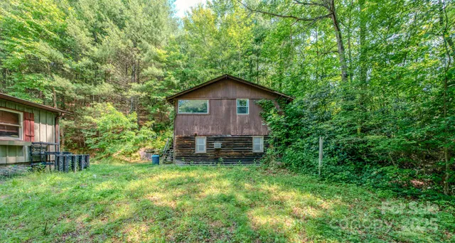 a view of a backyard with a large tree