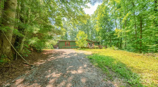 a view of a yard with plants and trees
