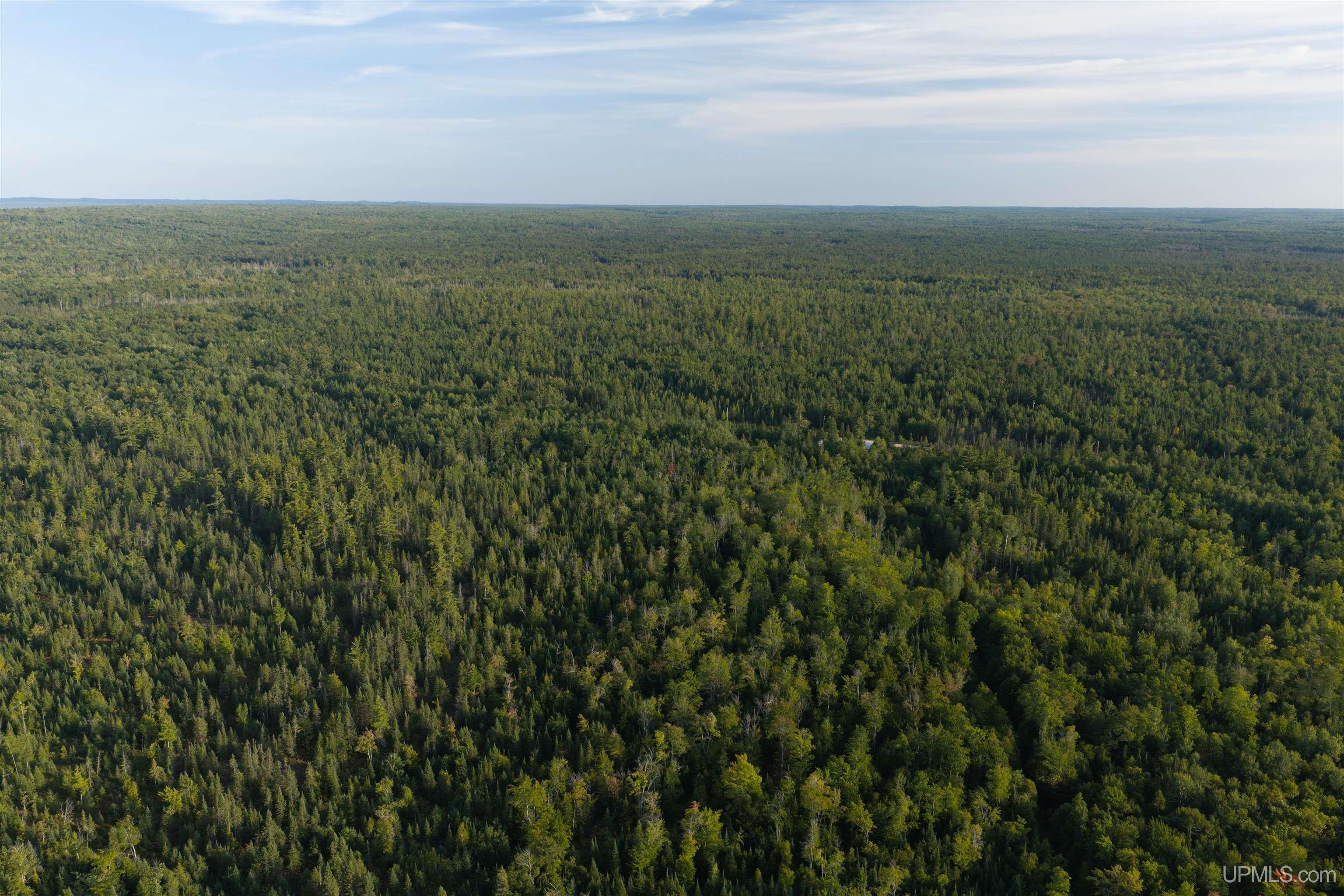 120 Acres Parcel B Off Deerton Road Deerton, MI 49822 - Photo 4 of 11 Gallery Image 4