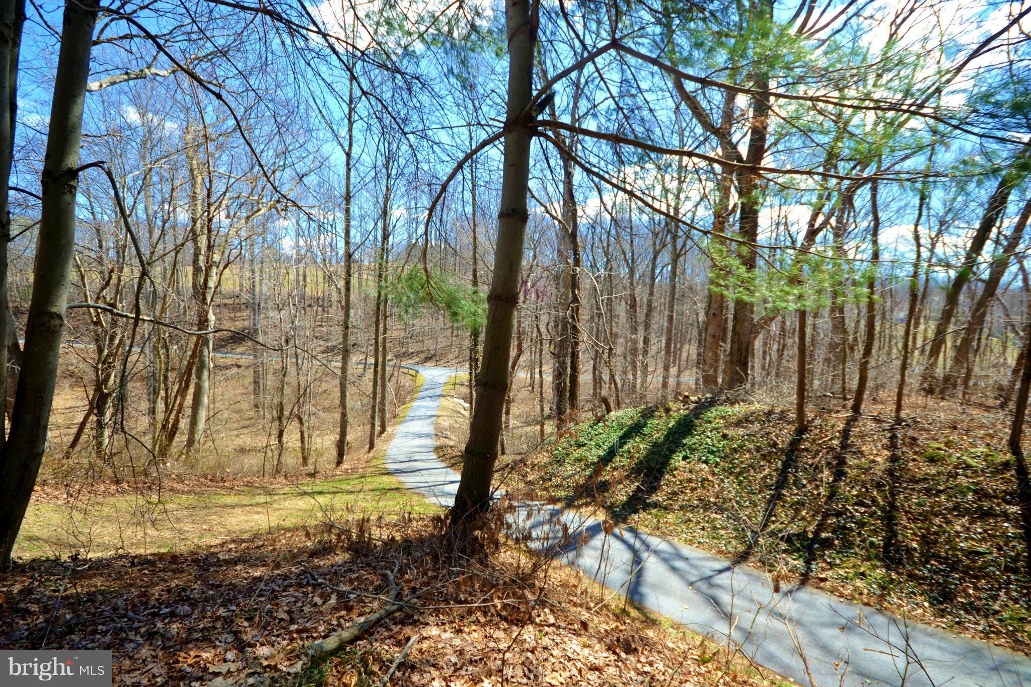 5070 Shaffer Mill Road Manchester, MD 21102 - Photo 25 of 30 a view of a backyard of the house