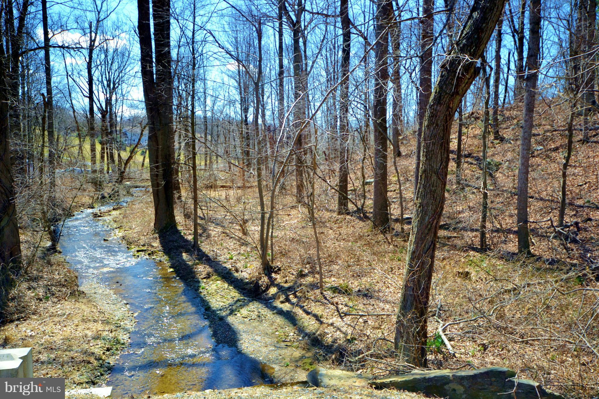 5070 Shaffer Mill Road Manchester, MD 21102 - Photo 26 of 30 a picture of trees