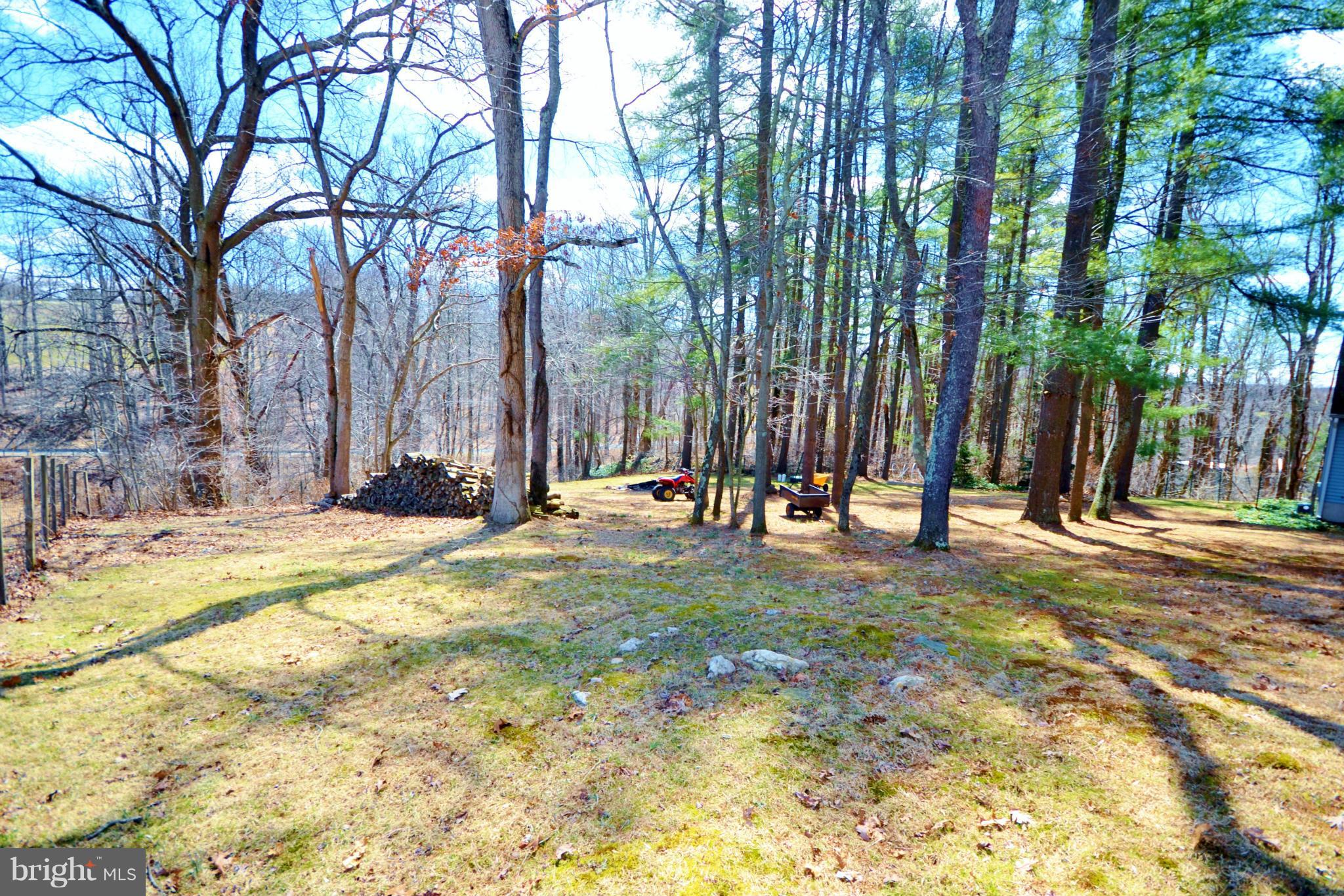 5070 Shaffer Mill Road Manchester, MD 21102 - Photo 27 of 30 a view of outdoor space with trees
