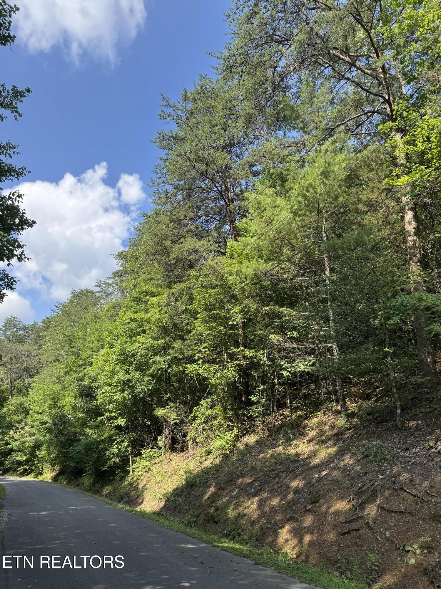 Lot 23 Walden Ridge Road Sevierville, TN 37862 - Photo 4 of 15 IMG_6032